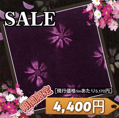【金華山生地のみ　幅1350ｍｍ】１ｍ単位　切り売り（コスモスワインパープル）