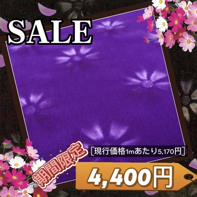 【金華山生地のみ　幅1350ｍｍ】１ｍ単位　切り売り（コスモスパープル）