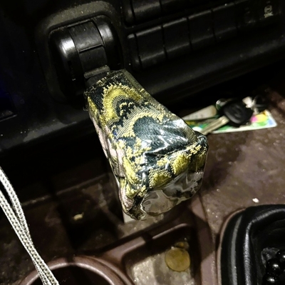 【金華山サイドブレーキカバー　ビニール付き　17プロフィア用】2ｔ車のATシフトノブのカバーにも！？（花かごグリーン）