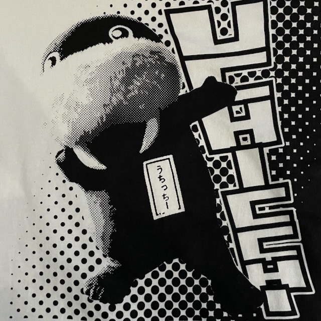 うちっちー実写版Tシャツ | いずっぱこショップ