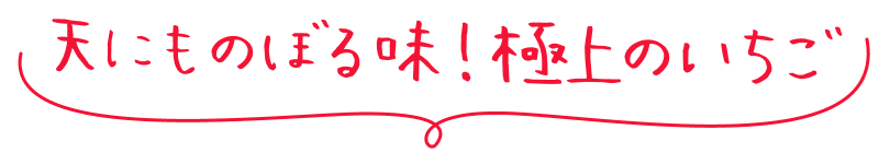 天にものぼる味！極上のいちご