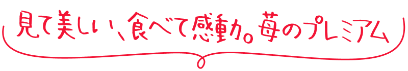 見て美しい、食べて感動。苺のプレミアム