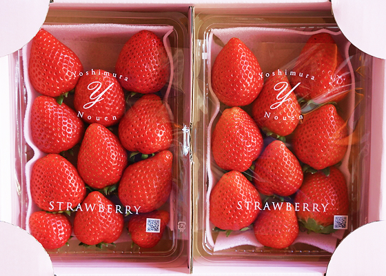 デラックス とちあいか2パック入り | 吉村農園