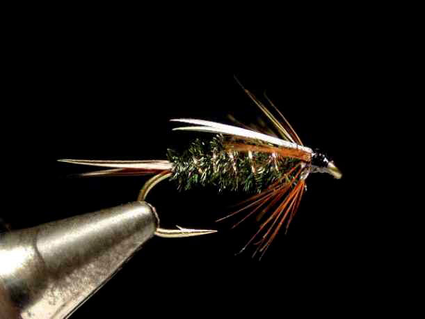 ■The Nymph  ～Blue Dun～（ザ ニンフ ブルーダン）　27年 プリンスニンフ | ウインフィールド