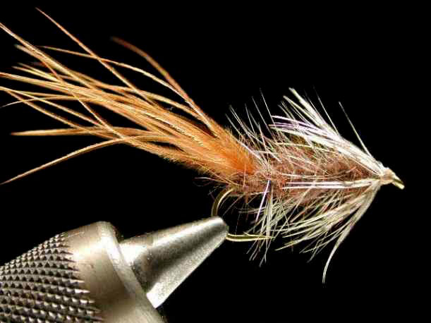 スキニーウーリーバガー brown ウインフィールド