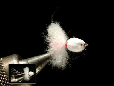 maestro オクトパスボム２【全4色】