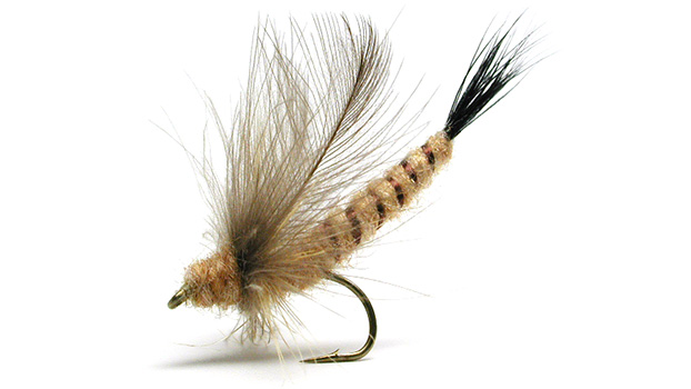 フライフィッシング用完成フライショップ Winfield