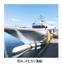 高知県産メヒカリ アジアマリン