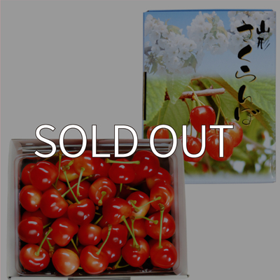 紅てまり　紅秀峰　専用‼️ 山形県産紅秀峰 バラ詰め500g【山形ふるさと便のさくらんぼ】 | 野川