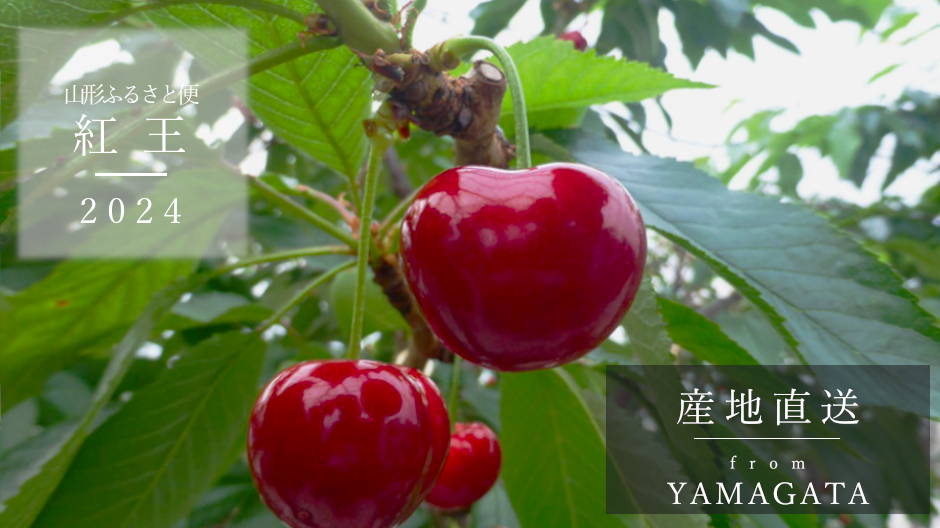 COCO様　紅秀峰×紅王 やまがた紅王•紅秀峰🍒遂に解禁！！｜食べチョク｜産地直送(産直