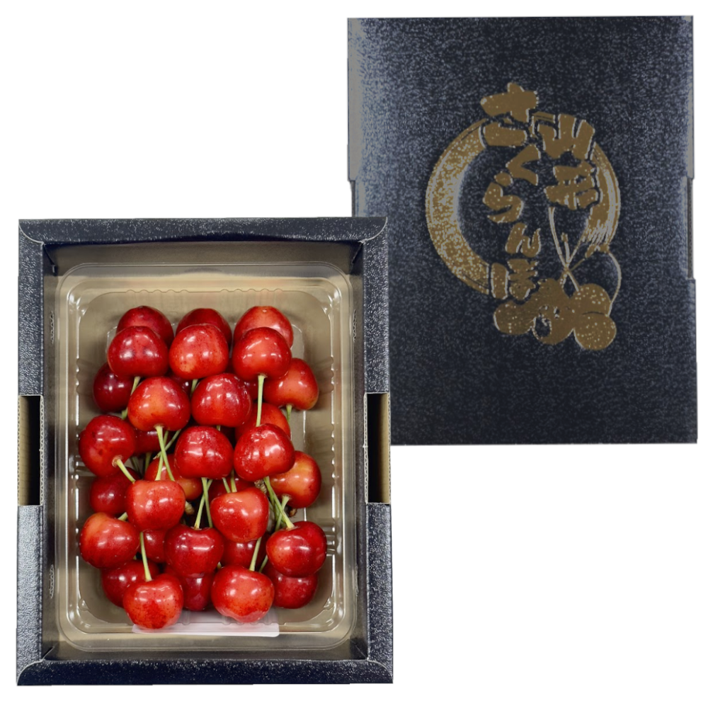 紅王500g （2箱）1kgバラ詰め 農園直売 赠答用 L以上 山形市 さくらんぼ紅王 500g2箱バラ詰め 贈答用