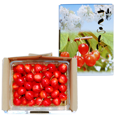山形県産 月山錦＆佐藤錦 詰合せ1kg 【山形ふるさと便のさくらんぼ