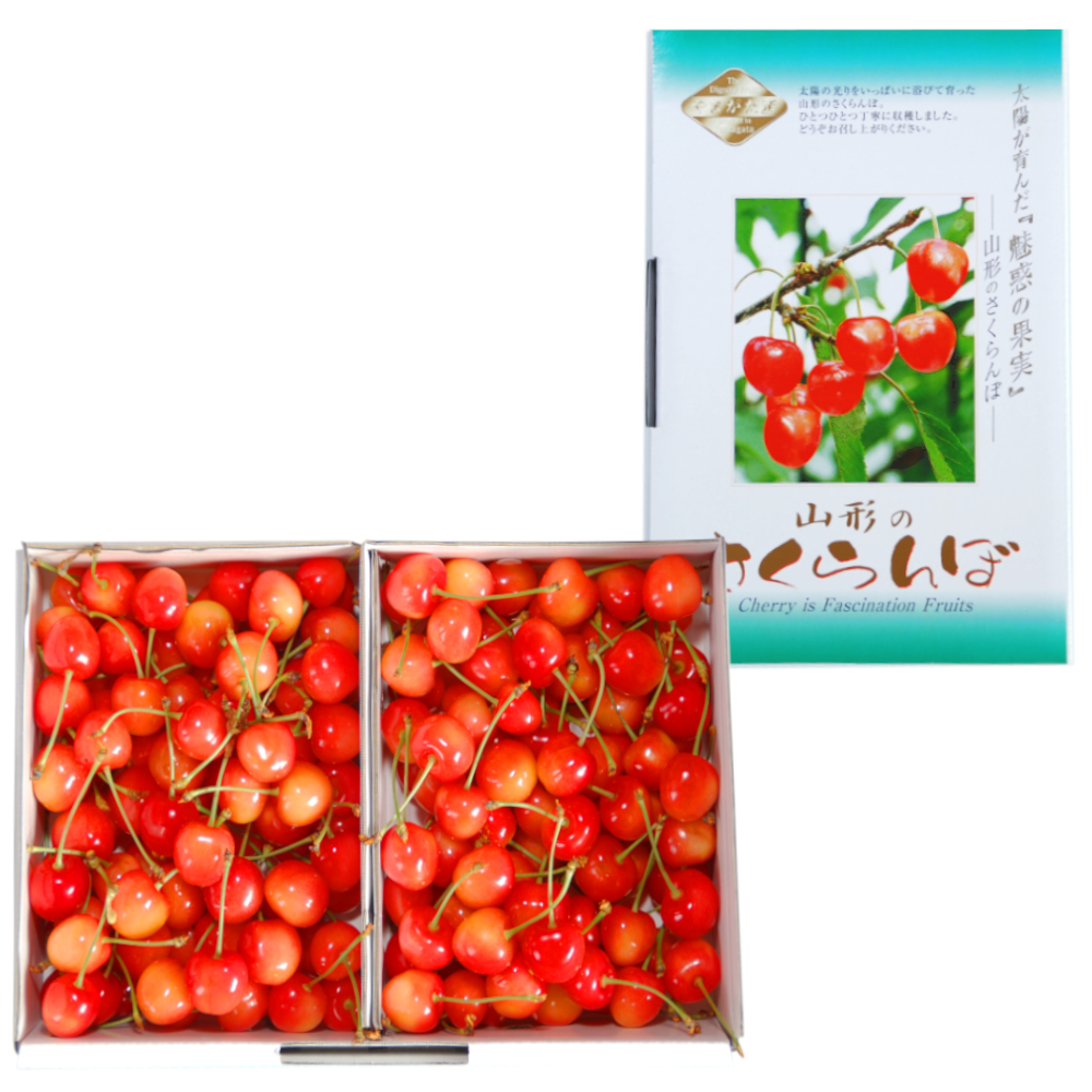山形県産佐藤錦 家庭用バラ詰め 1kg【山形ふるさと便のさくらんぼ