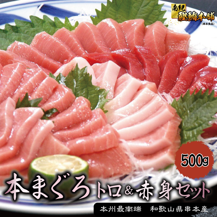 冷凍本マグロ 養殖 トロ 赤身セット 500g 和歌山県産 南紀鰹鮪本舗