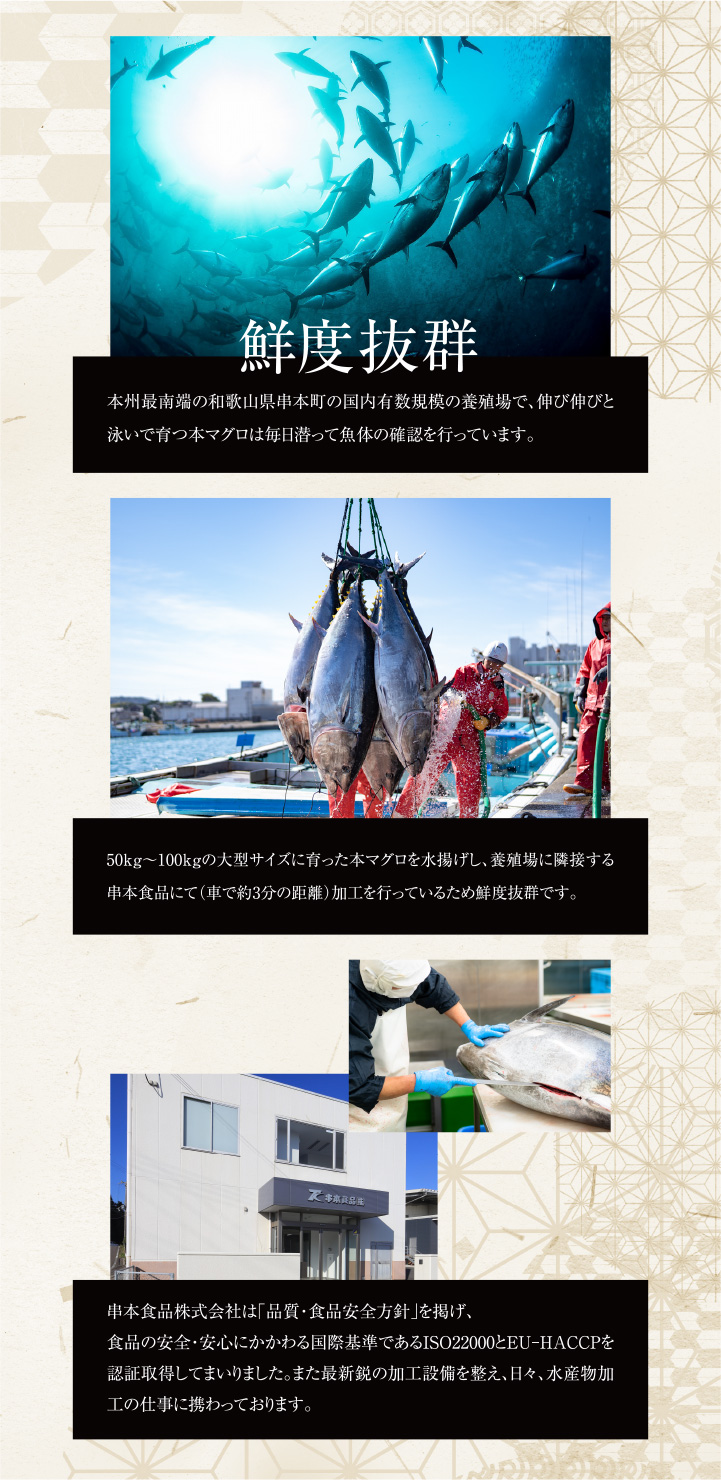 赤身 2セット 中とろ2セット すずらん 自家用】（冷凍）天然本まぐろ