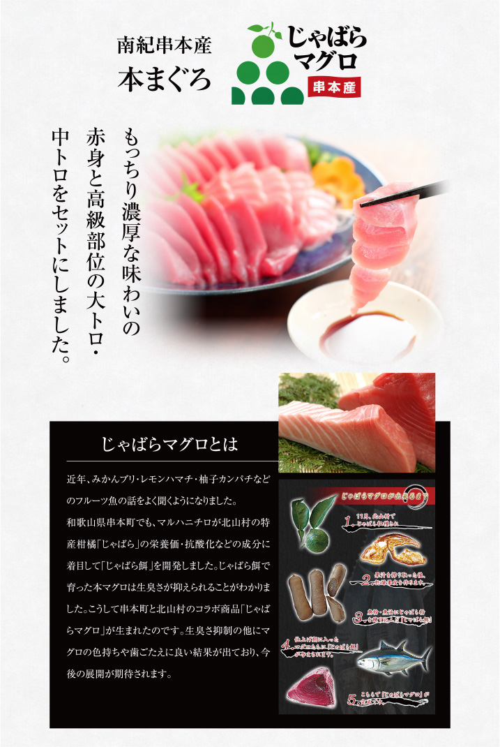 冷凍本マグロ（養殖）トロ＆赤身セット 500g 和歌山県産 | 南紀鰹鮪本舗