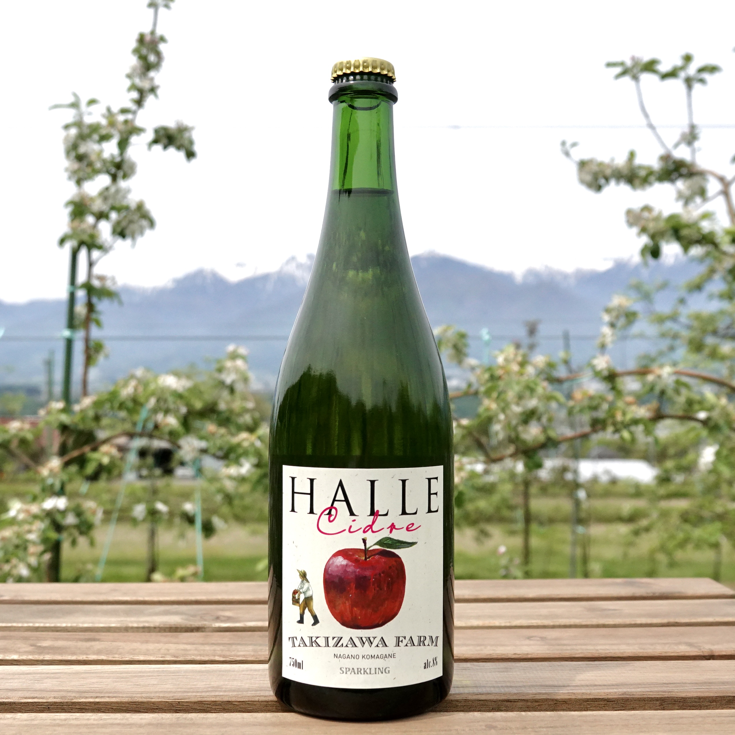 辛口シードル HALLE | 瀧澤農園Web Shop