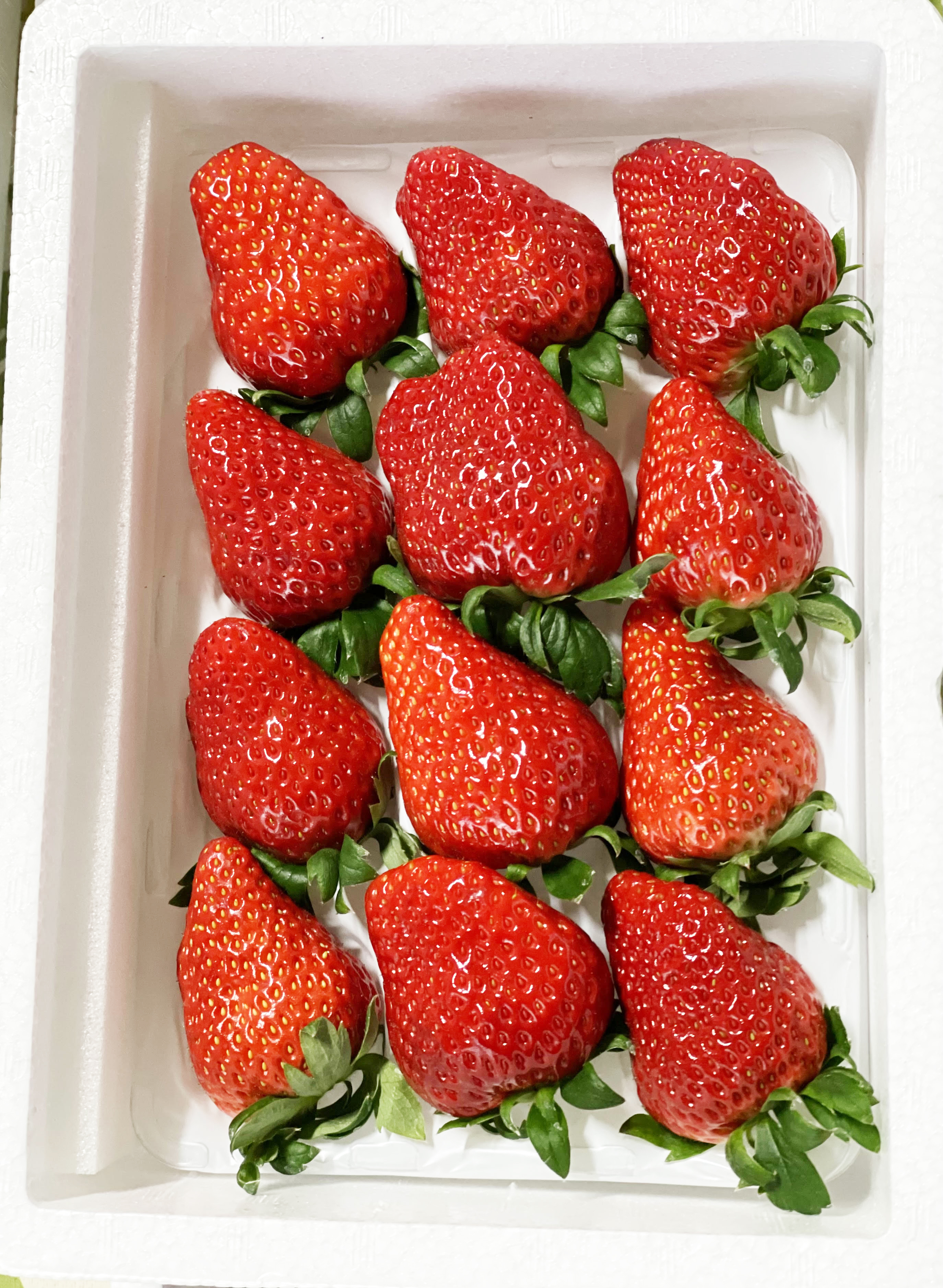 いちご(12個入り） | 磯山観光いちご園