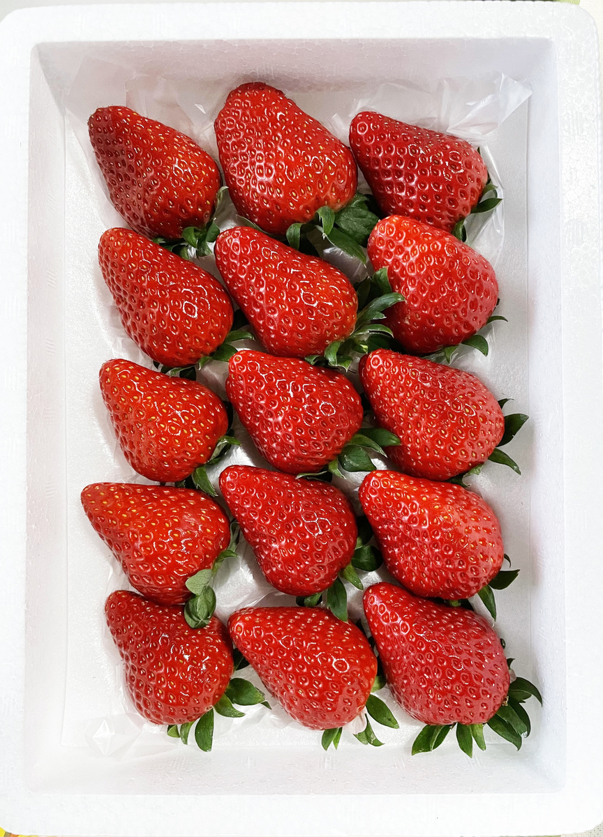 いちご(15個入り） | 磯山観光いちご園