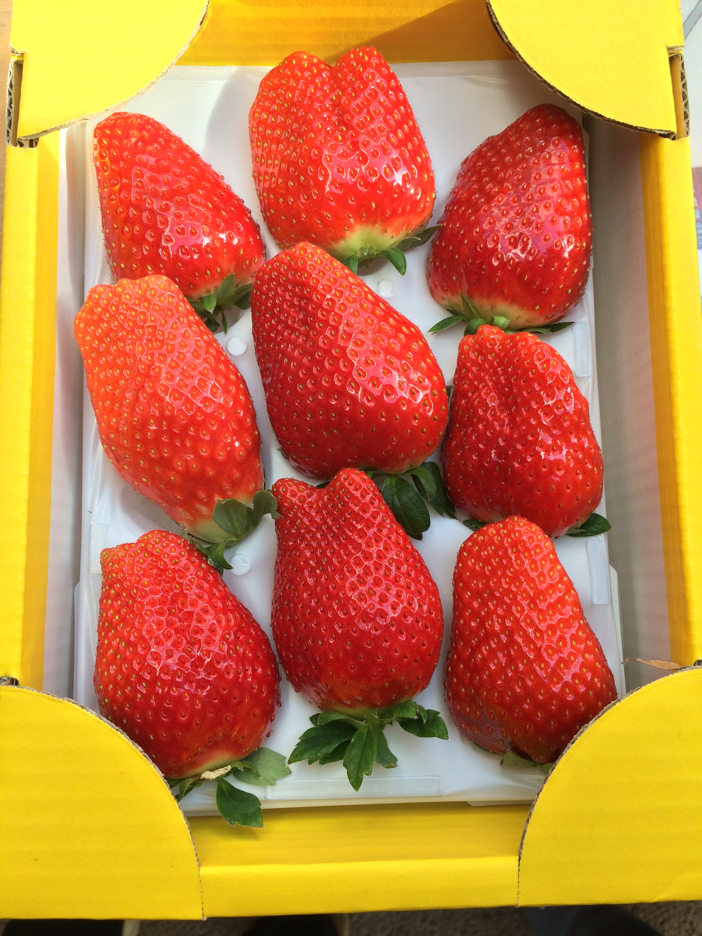 いちご(9個入り） | 磯山観光いちご園