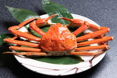 【茹でずわい蟹１匹自家製蟹みそ付】500ｇ前後  カナダ産