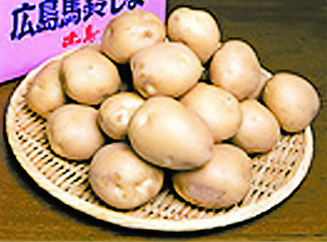 安芸津マル赤馬鈴しょ10kg | 中国新聞販売所宅配ネット