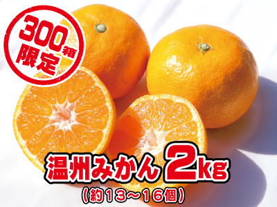 温州みかん2kg