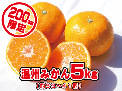 温州みかん5kg