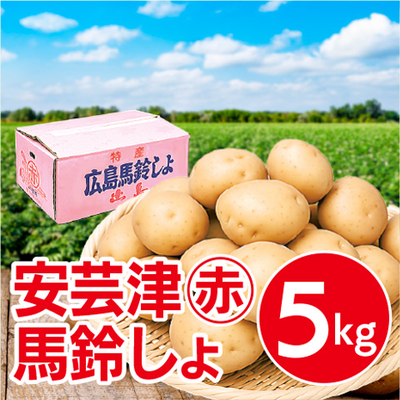 安芸津マル赤馬鈴しょ５ｋｇ