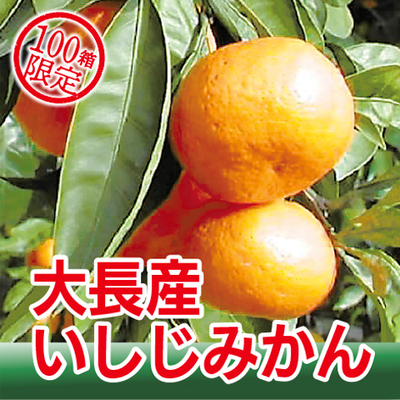 大長産いしじみかん　５㎏
