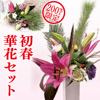 初春　華花セット