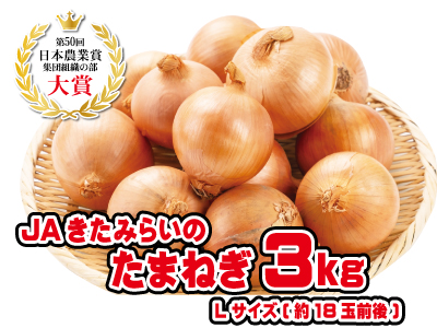 ２－きたみらいの　玉ねぎ(Ｌ)３kg