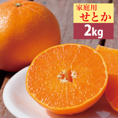 家庭用せとか２kg　愛媛 八幡浜産