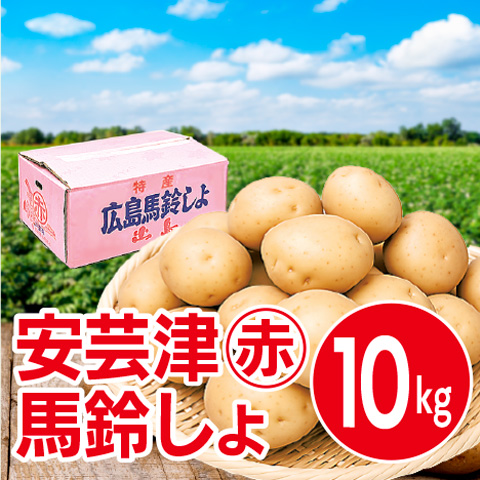 安芸津マル赤馬鈴しょ10kg | 中国新聞販売所宅配ネット