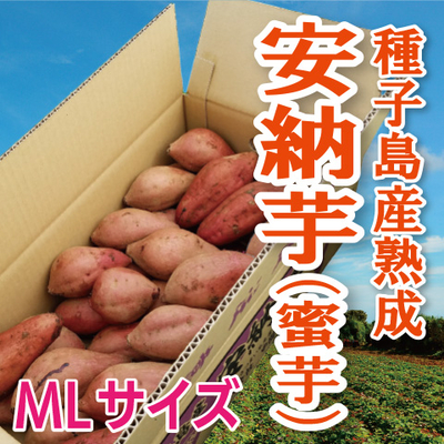 種子島 熟成安納芋(蜜芋)3㎏