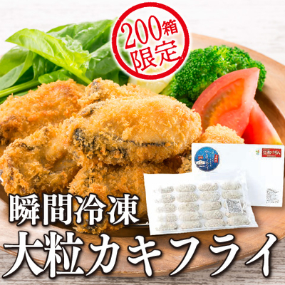 瞬間冷凍 大粒かきフライ