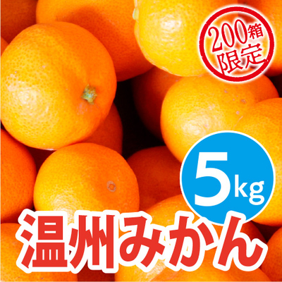 八幡浜　温州みかん5kg