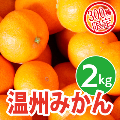 八幡浜　温州みかん2kg
