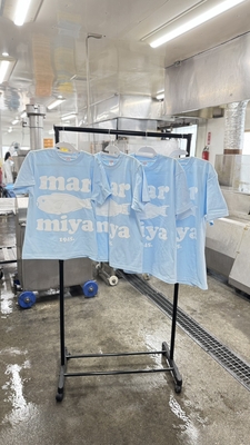 公式★マーミヤＴシャツ　　　(新色　ライトブルー)
