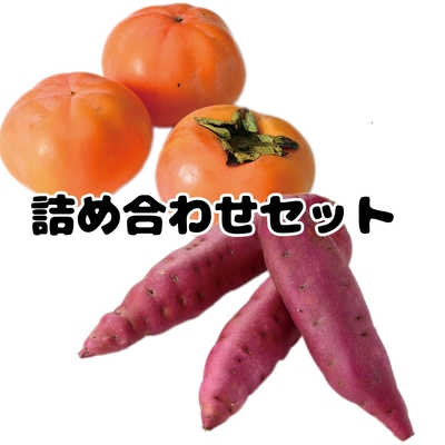 【予約商品】かほく市 秋の特産品 詰合せセット