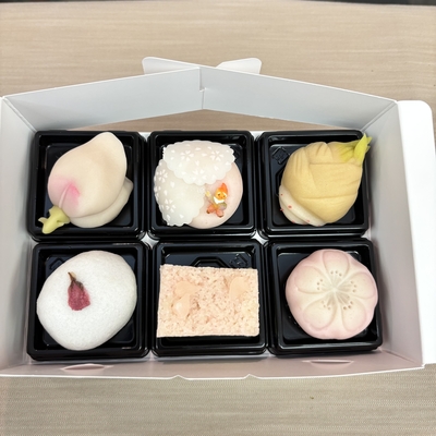 春の上生菓子 6種セット