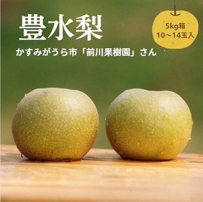 【豊水梨5kg箱（10～14玉入り）】（生産者：前川果樹園さん）