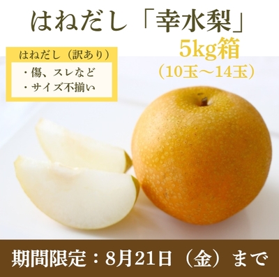 ★期間限定8月21日まで【はねだし幸水梨5kg箱（10～14玉入り）】（生産者：前川果樹園さん）
