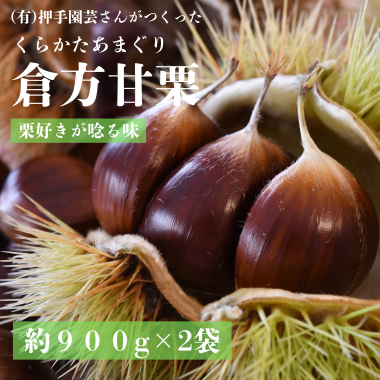 茨城県産「倉方甘栗　約900g&times;2袋」（生産者：（有）押手園芸さん）
