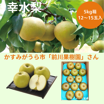 【幸水梨5kg箱（12～15玉入り）】（生産者：前川果樹園さん）
