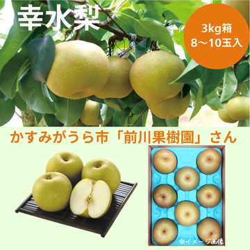 【幸水梨3kg箱（8～10玉入り）】（生産者：前川果樹園さん）