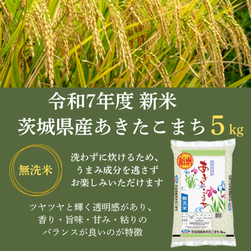 【令和7年度　新米】茨城県産あきたこまち5kg（無洗米）