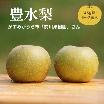 ★期間限定9月20日まで【豊水梨3kg箱（5～7玉入り）】（生産者：前川果樹園さん）