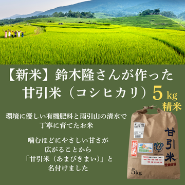 【令和7年度　新米】「甘引米（コシヒカリ）5kg（精米）」（生産者：桜川市の鈴木隆さん）