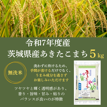 【令和7年度産】茨城県産あきたこまち5kg（無洗米）